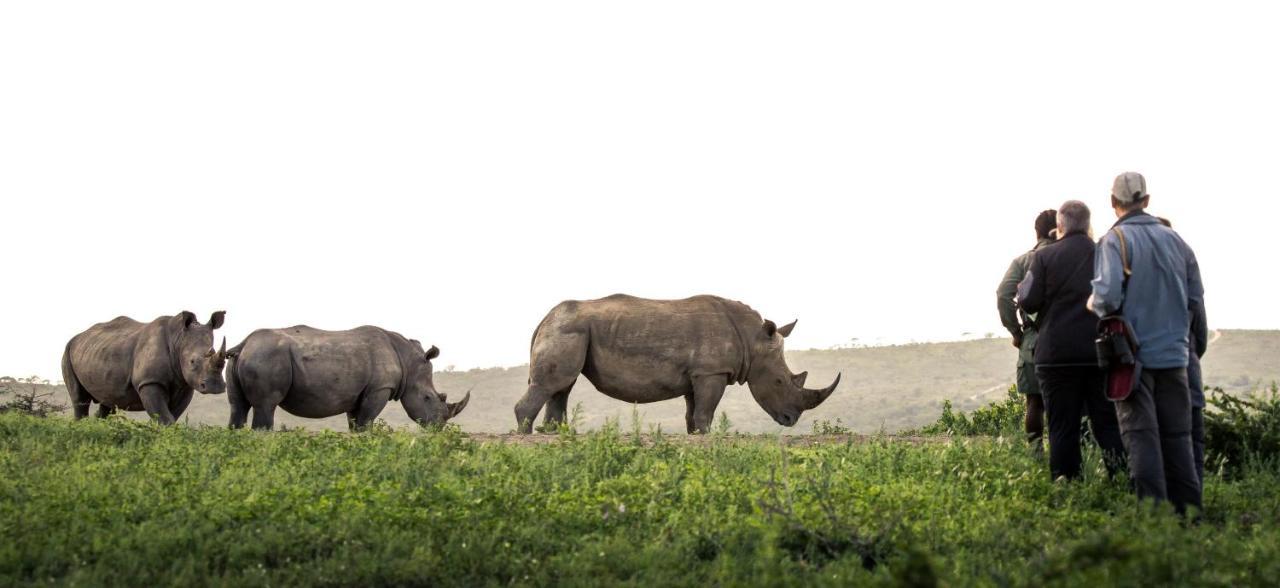 Rhino Ridge Safari Lodge KwaNompondo Dış mekan fotoğraf