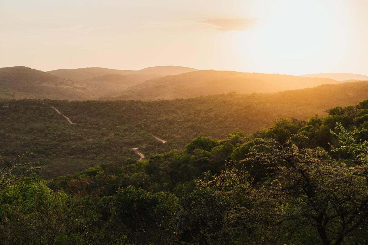 Rhino Ridge Safari Lodge KwaNompondo Dış mekan fotoğraf