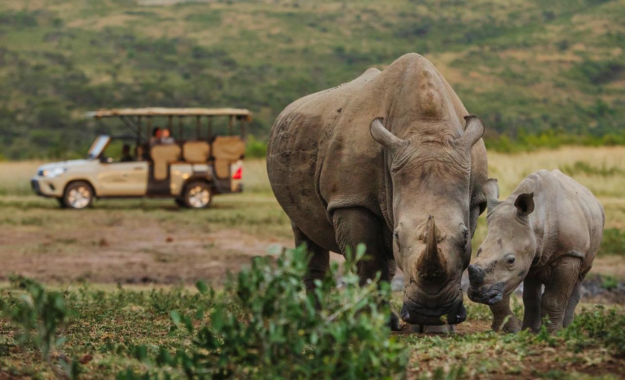 Rhino Ridge Safari Lodge KwaNompondo Dış mekan fotoğraf