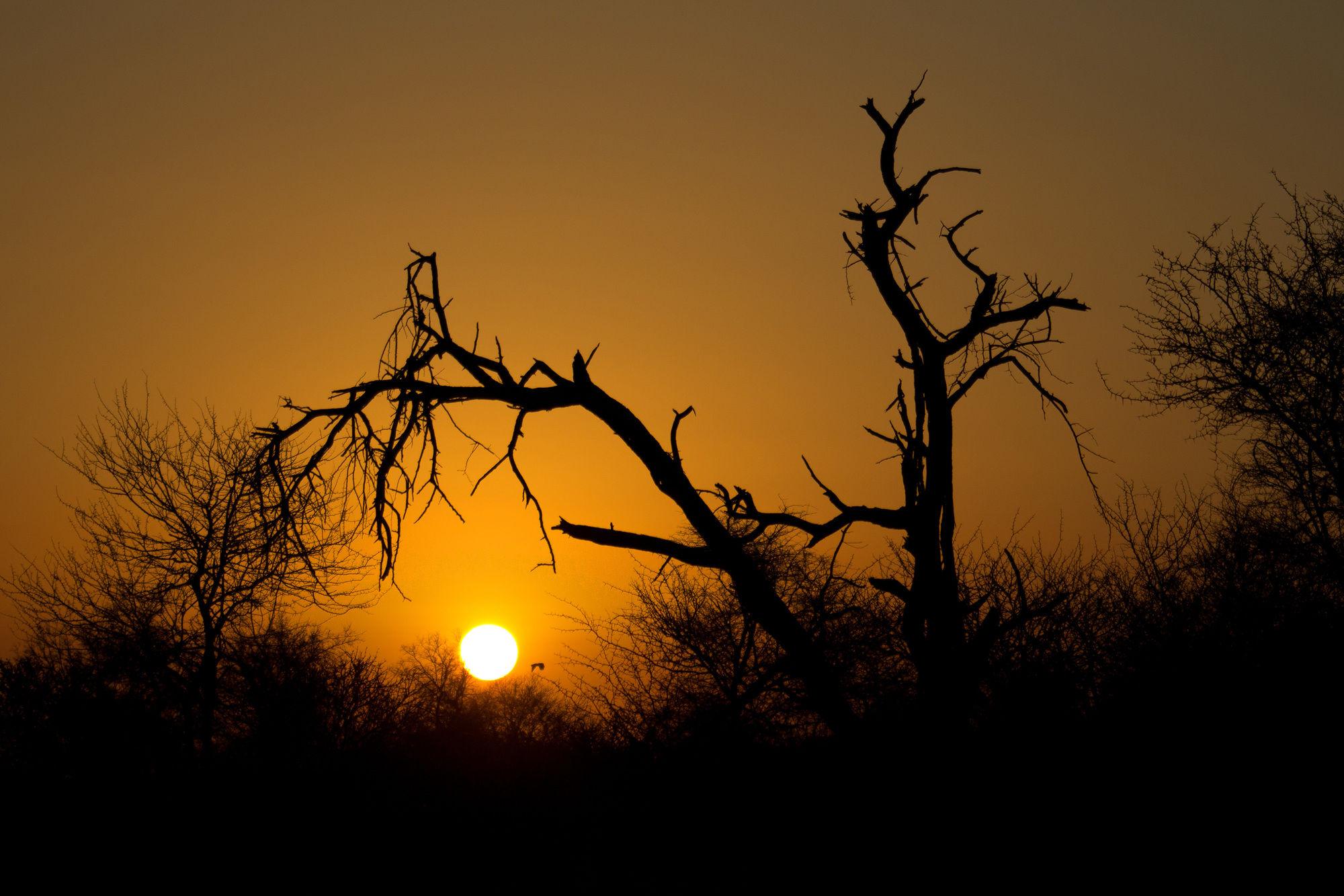 Rhino Ridge Safari Lodge KwaNompondo Dış mekan fotoğraf