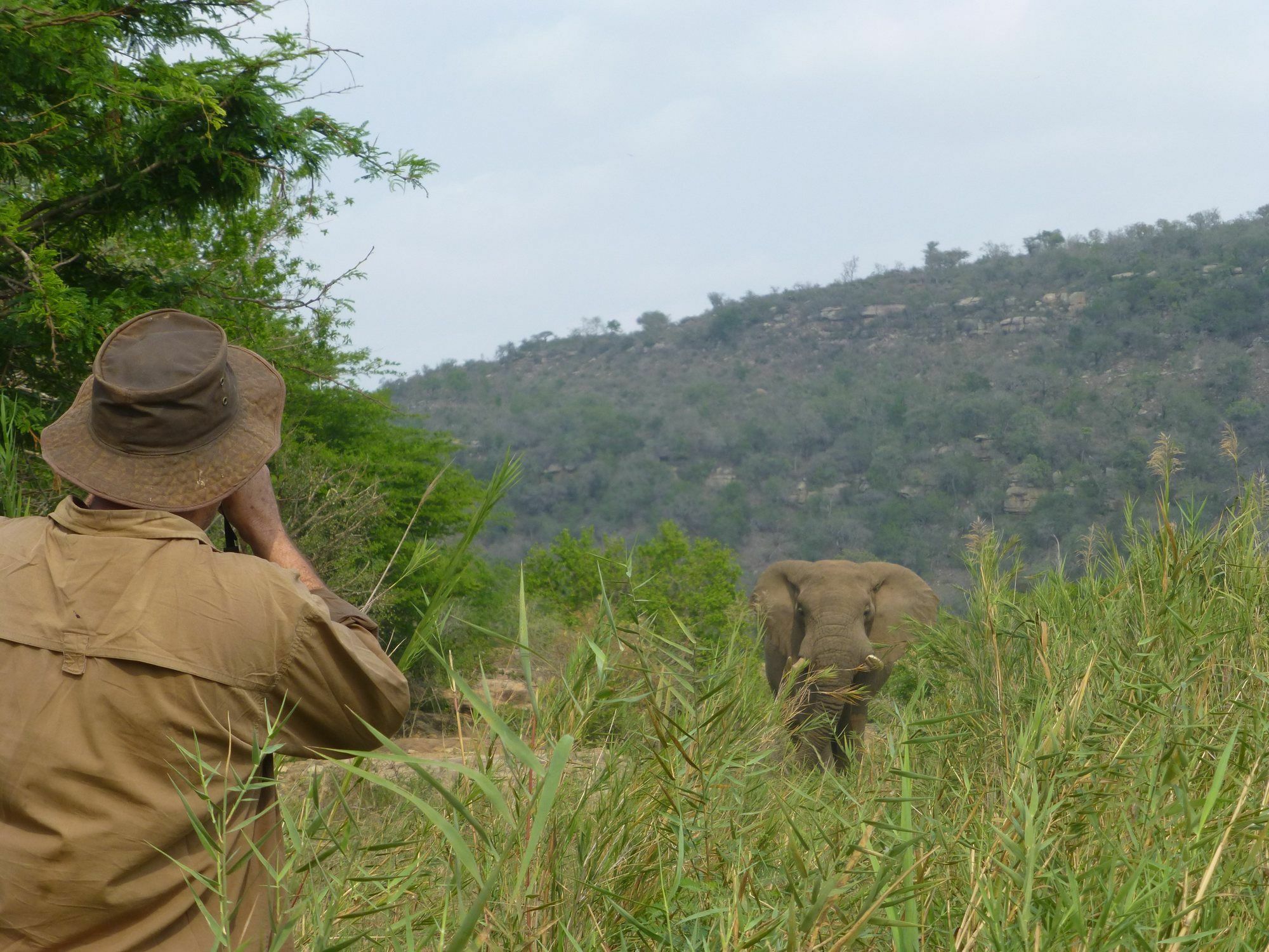 Rhino Ridge Safari Lodge KwaNompondo Dış mekan fotoğraf